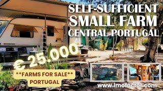  Self-Sufficient Small Farm | For Sale | Central Portugal | €25000