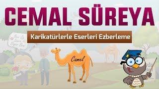 CEMAL SÜREYA Eserleri - Karikatürlerle Şifreleme - Hafıza Teknikleri