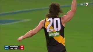 Richmond Vs Carlton - Ivan Maric Spirit - AFL Finals 2013 Moment