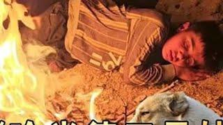 哈尼人间蒸发，然而摄影师却带来不好的消息