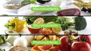 What Supplements Should I Take? The Nutrilite Foundational Four | Amway