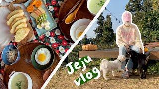 제주 민박집 조식 만들고 강아지랑 노는 브이로그 vlog | 전원주택 사는 실외견의 하루