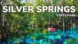 Silver Springs State Park: Explore The Largest Artesian Spring in the World!