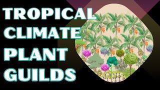 Discover Tropical Food Forest Plant Combinations: 3 Inspiring Examples!