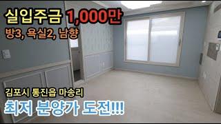 [매물번호 : 30-082]신축쓰리룸 최저분양가도전! 실입주금1000만 김포신축빌라