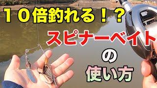 【バス釣り】スピナーベイトの釣れる使い方！テクニックのやり方をマスターしてスピナベ使いになろう！【スローロール】【スピナベサイト】