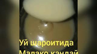 Уй шароитида МОЛОКО тайёрлаш