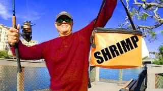 2 Hours Uncut Bank Fishing With Shrimp (South Florida Piers and Bridges)