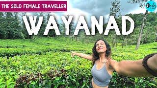 Wayanad - Travel Tips, Adventure Sports & More | The Solo Female Traveller EP 10  | Curly Tales