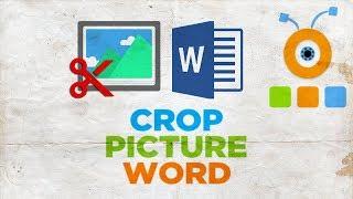 How to Crop a Picture in Word