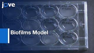 Biofilms Model for Characterizing Small Molecule Biofilm Inhibitors | Protocol Preview