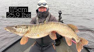 Catching a Monster 115cm, 25.9 lb Pike in Ireland | Epic Lure Fishing Adventure!