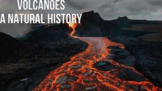 Volcanoes A Natural History (Volcanology, Geology and Eruptions)