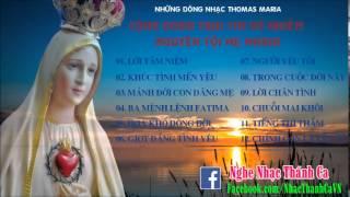 Album Trái Tim Vô Nhiễm Nguyên Tội Mẹ Maria - Nhạc Thomas Maria.mp4