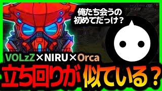 【VOLzZ】"NIRU"と初ランクで爆盛り！神連携過ぎて初対面か疑うふたりｗｗ【APEX/NIRU/Orca】