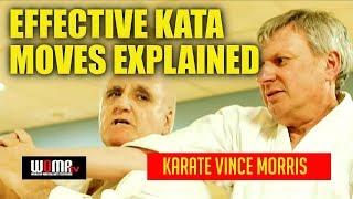 EFFECTIVE KATA MOVES EXPLAINED Karate Vince Morris