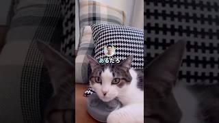 【泣ける話】足の大きなアザ