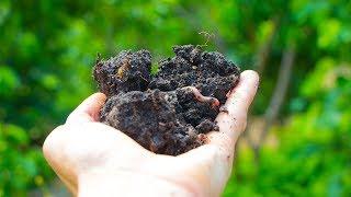 THE SECRET TO BUILDING HEALTHY SOIL!