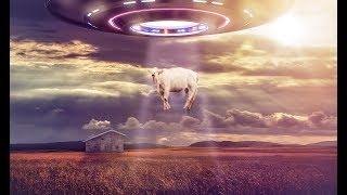 Eugene Shapovalov - UFOs in our village (no copyright music)