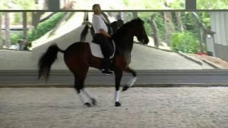 Bent Jensen-Grand Prix Horse for Sale-Liberty Light