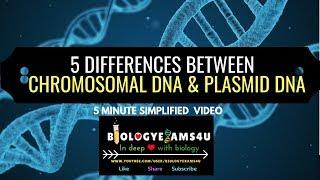 5 Differences between Chromosomal DNA and Plasmid DNA