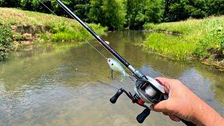 Fishing Big Lures in a Small Creek