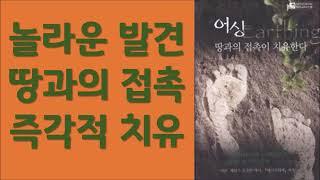 어싱/ 땅과의 접촉이 치유한다/ 건강을 유지하는 기본의 기본/ 클린턴 오버 저/ 히어나우 시스템 출판