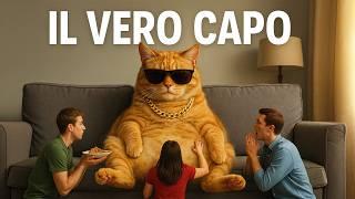 Cats: What's so special about them and why do we love them?
