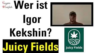 Juicy Fields: Igor Kekshin zum JuicyFields Scam