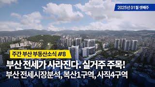 주간부산부동산소식 8/부산전세가 없어진다, 사직4, 복산1