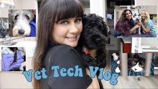 Day In The Life of a Vet Tech | Vet Tech Vlog | Veterinary Technician