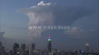 NHK VIDEO BANK -Cumulonimbus cloud and lightning hit Tokyo