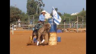 Australian Extreme Cowgirls Virtual Show Round 2 - Int. Over 18 - Ashir Kol & Custom Jac Diamond