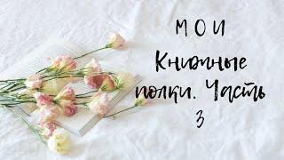 КНИЖНЫЕ ПОЛКИ Ч.3||ИЗ САНКТ-ПЕТЕРБУРГА С ЛЮБОВЬЮ