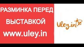 Разминка перед выставкой инвентаря для пчеловодов / www.uley.in