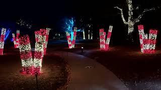 Experience Holiday Lights at Cheekwood