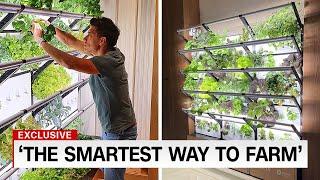 How To Start A Vertical Farm In Your House..