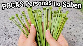 Estos Sujetadores son un Tesoro y poca Gente conoce sus usos