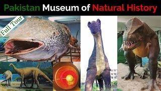 Pakistan Museum of Natural History Islamabad Full Tour