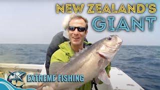 Epic Fishing in Bay of Islands | Extreme Fishing