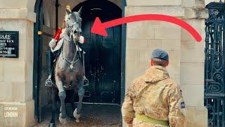 CHAOS! BOTH ROYAL GUARD HORSES GET TERRIBLY SPOOKED!  | Horse Guards, Royal guard, Kings Guard