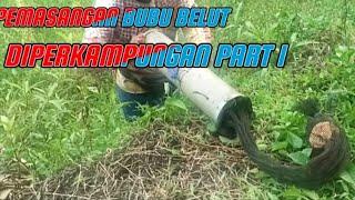 PEMASANGAN BUBU BELUT DI PERKAMPUNGAN