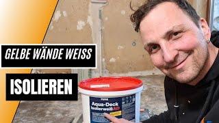 Raucher Wohnung oder Gelbe Wände RENOVIEREN!