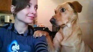 When your dog and you have a special language  Funny Dog and Human