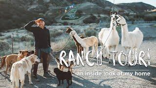Cesar Millan's Animal Paradise in LA | Ranch Tour!