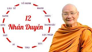 Vì Sao Hành Duyên Thức Trong Thập Nhị Nhân Duyên - HT Viên Minh | Phật Pháp Vấn Đáp