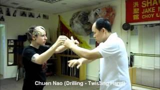 Choy Lee Fut - Basic Hand Techniques