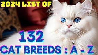 Discover All Cat Breeds Complete Guide #catbreeds #catfacts