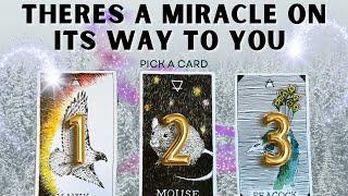 There’s a Miracle Coming Your Way NOW!!! Pick A Card