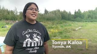 Building Access Roads in Tyonek, Alaska